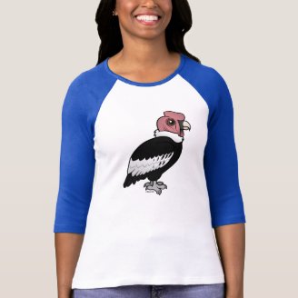 Andean Condor Ladies Raglan Fitted T-Shirt