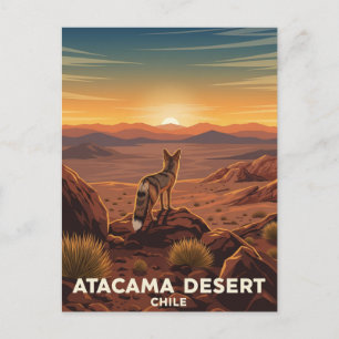 Andean Fox in Atacama Desert Chile Postcard