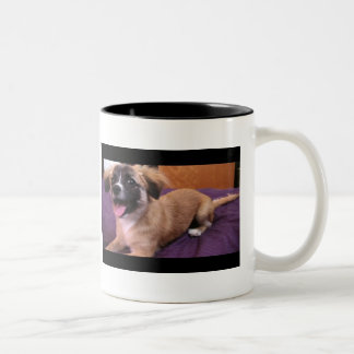 Andre: The King of Pup mug! Two-Tone Coffee Mug