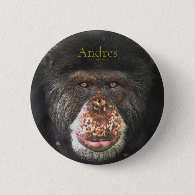 Andres, Save the Chimps Button (Front)