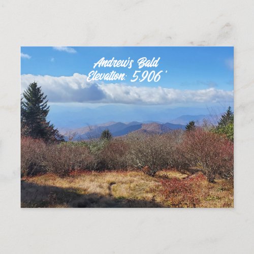 Andrews Bald Great Smoky Mountains Elevation Postcard