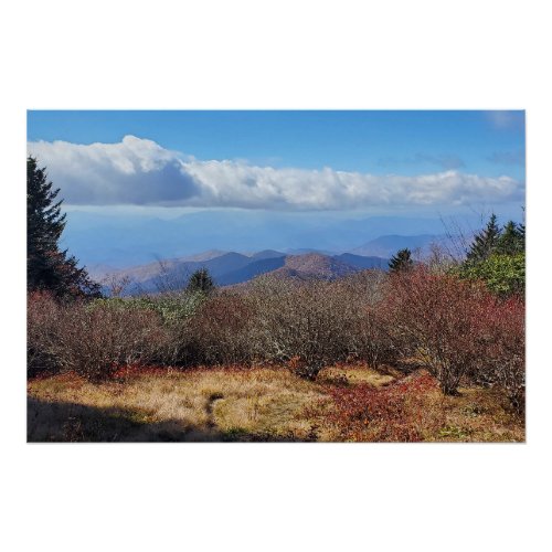 Andrews Bald Great Smoky Mountains Poster