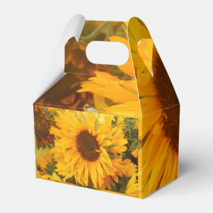Andriola Favor Boxes
