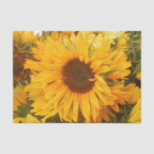 Andriola Tissue Paper