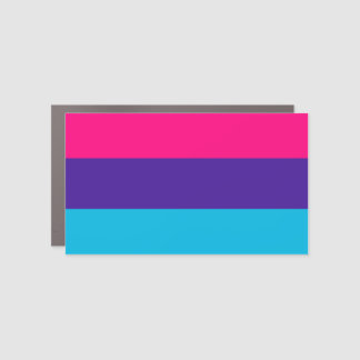 Androgyne Pride Car Magnet