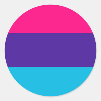 Androgyne Pride Flag Classic Round Sticker