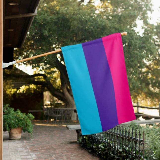 Androgyne Pride House Flag (In SItu)