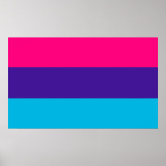 Androgyne Pride Poster