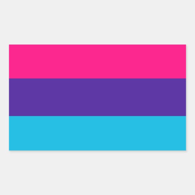 Androgyne Pride Rectangular Sticker (Front)