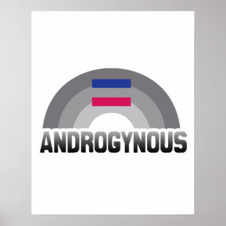 ANDROGYNOUS RAINBOW POSTER
