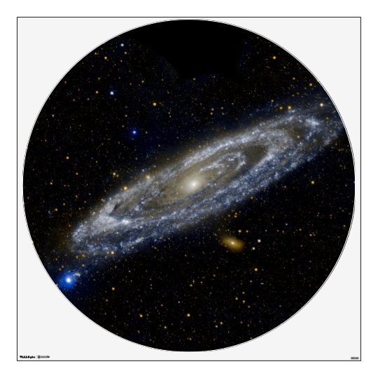 Andromeda Galaxy Wall Decal 48"x48"