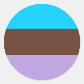 Androsexual Pride Flag Classic Round Sticker