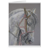 Andualusian Horse Card (Front)