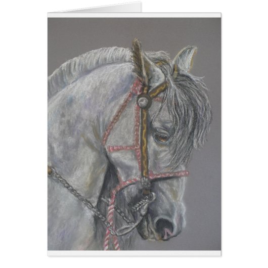 Andualusian Horse Card (Front)