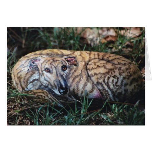 "Andy" dog rock card (Front Horizontal)