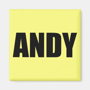 Andy Magnet