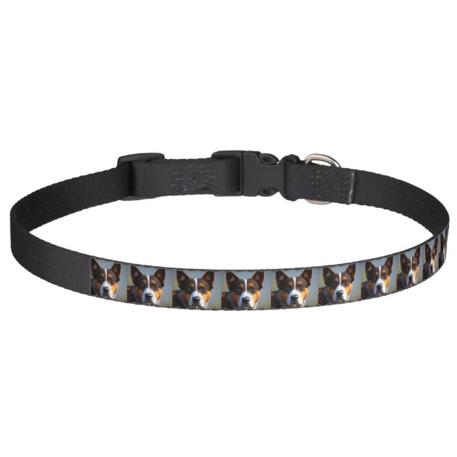 Andy The Australian Blue Heeler, Pet Collar (Front)