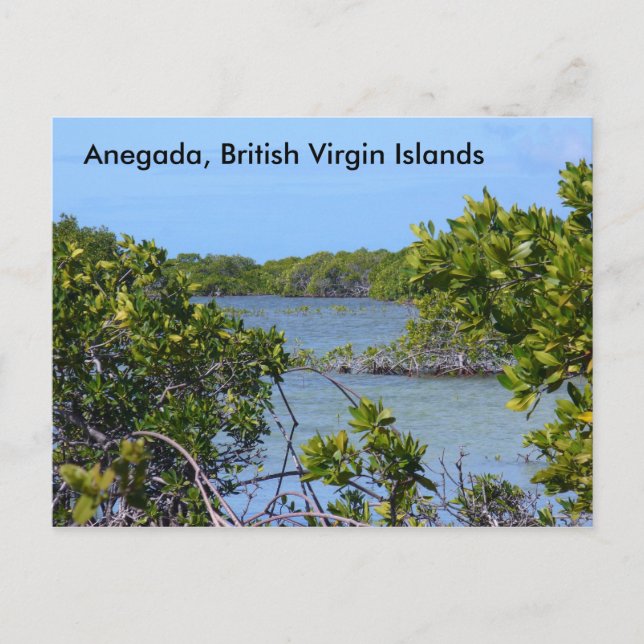 Anegada BVI Postcard (Front)