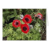 anemone (Front Horizontal)