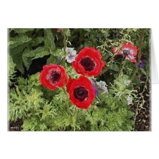 anemone (Front Horizontal)