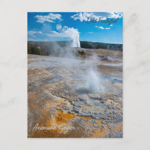 Anemone and Old Faithful Geysers Erupting Postcard