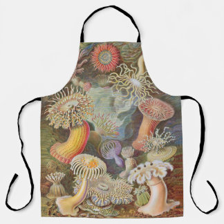 Anemone Apron