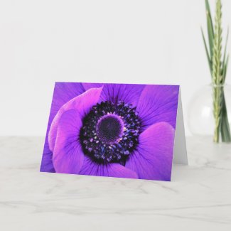Anemone, card