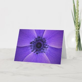 Anemone, card