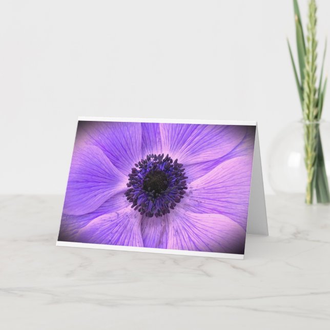 Anemone, Card (Front)
