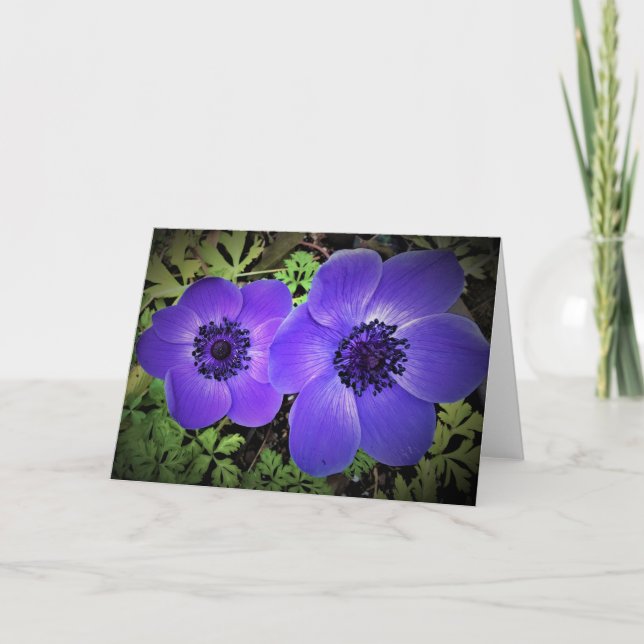 Anemone, card (Front)