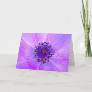 Anemone, card