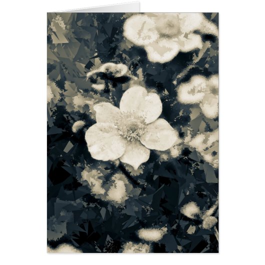 Anemone Cards (Front)