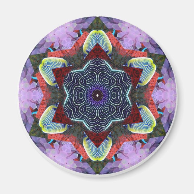 Anemone City Magnet (Front)