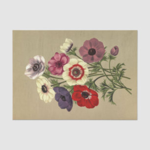 Anemone Coronaria by Arentina Hendrica Arendsen Tissue Paper