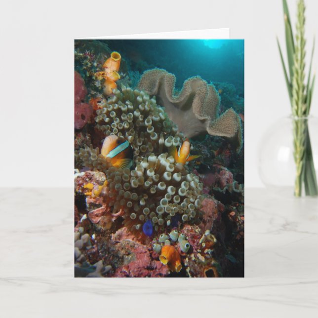 Anemone Fish Garden Card (Front)