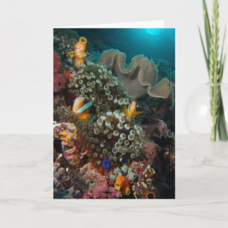 Anemone Fish Garden Card