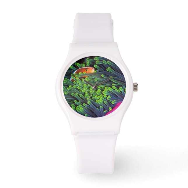 Anemone Fish Hiding In Anemone, Mozambique 2 Watch (Front)