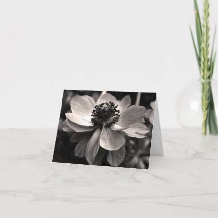 Anemone Floral Photo Sympathy Thank You Note Card