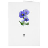 Anemone Flowers Cards (Back)