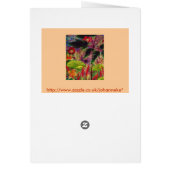 Anemone hupehensis cards (Back)