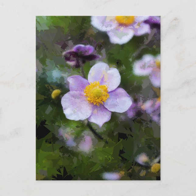 Anemone Postcard (Front)