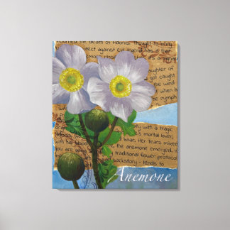 Anemone Stretched Canvas Print