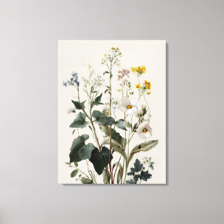 Anemone Wildflower Cluster Canvas Print