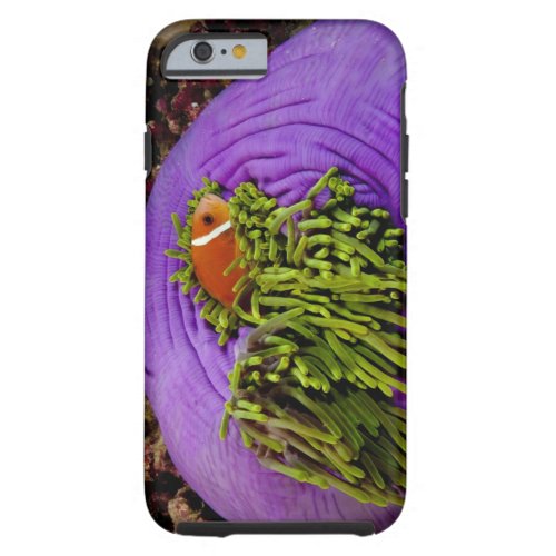Anemonefish and large anemone tough iPhone 6 case