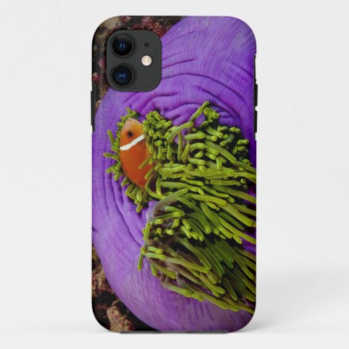Anemonefish and large anemone iPhone 11 case