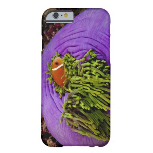 Anemonefish and large anemone barely there iPhone 6 case