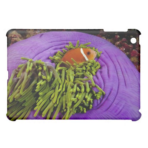 Anemonefish and large anemone iPad mini case