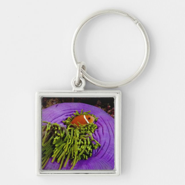 Anemonefish and large anemone keychain (Front)
