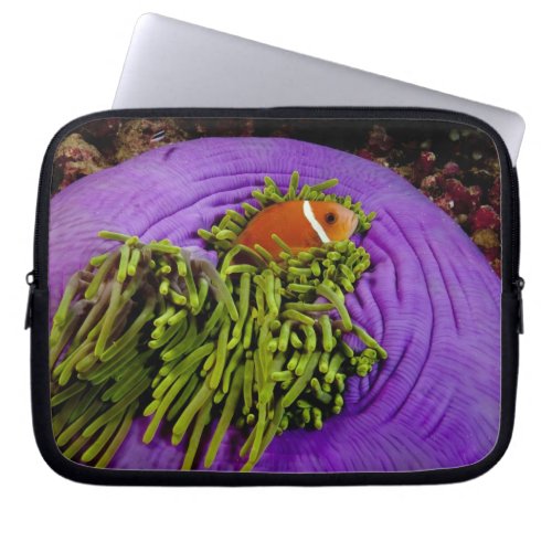 Anemonefish and large anemone laptop sleeve