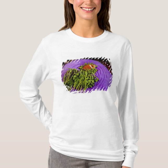 Anemonefish and large anemone T-Shirt (Front)